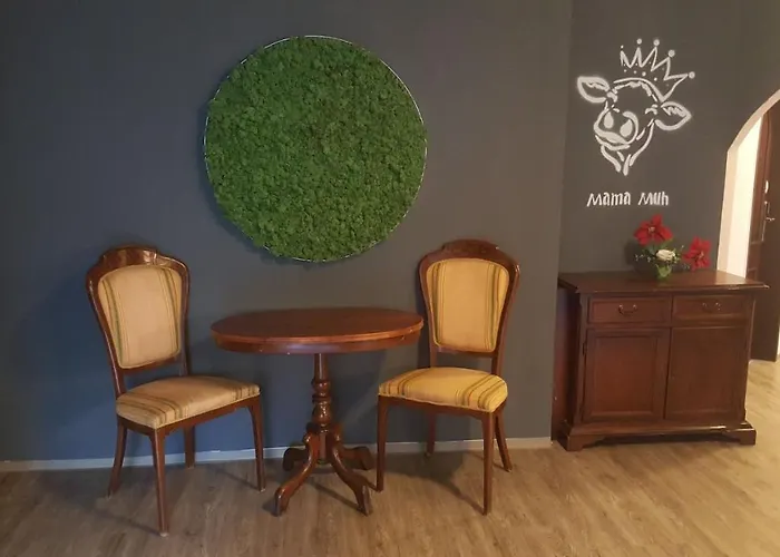 Отель Mama Muh Self-check-in Линц